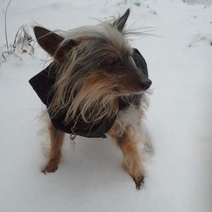 Meet your Posher, Scott